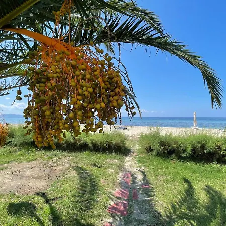 Relax In Sithonia With Ocean Views Σπίτι διακοπών