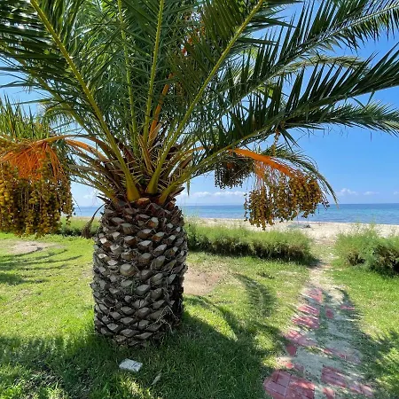 Relax In Sithonia With Ocean Views Σπίτι διακοπών *